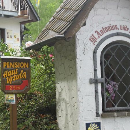Pension Haus Ursula Кобленц Экстерьер фото