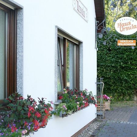 Pension Haus Ursula Кобленц Экстерьер фото
