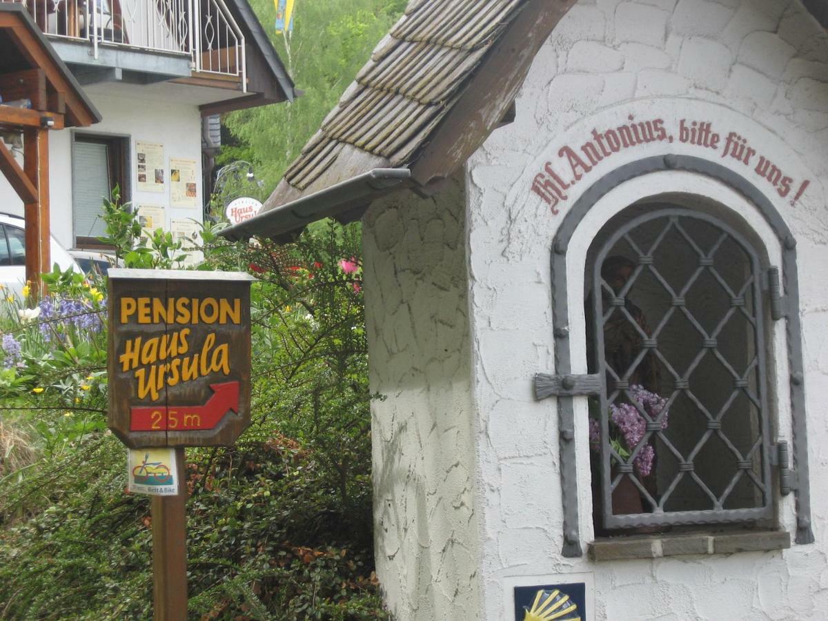 Pension Haus Ursula Кобленц Экстерьер фото