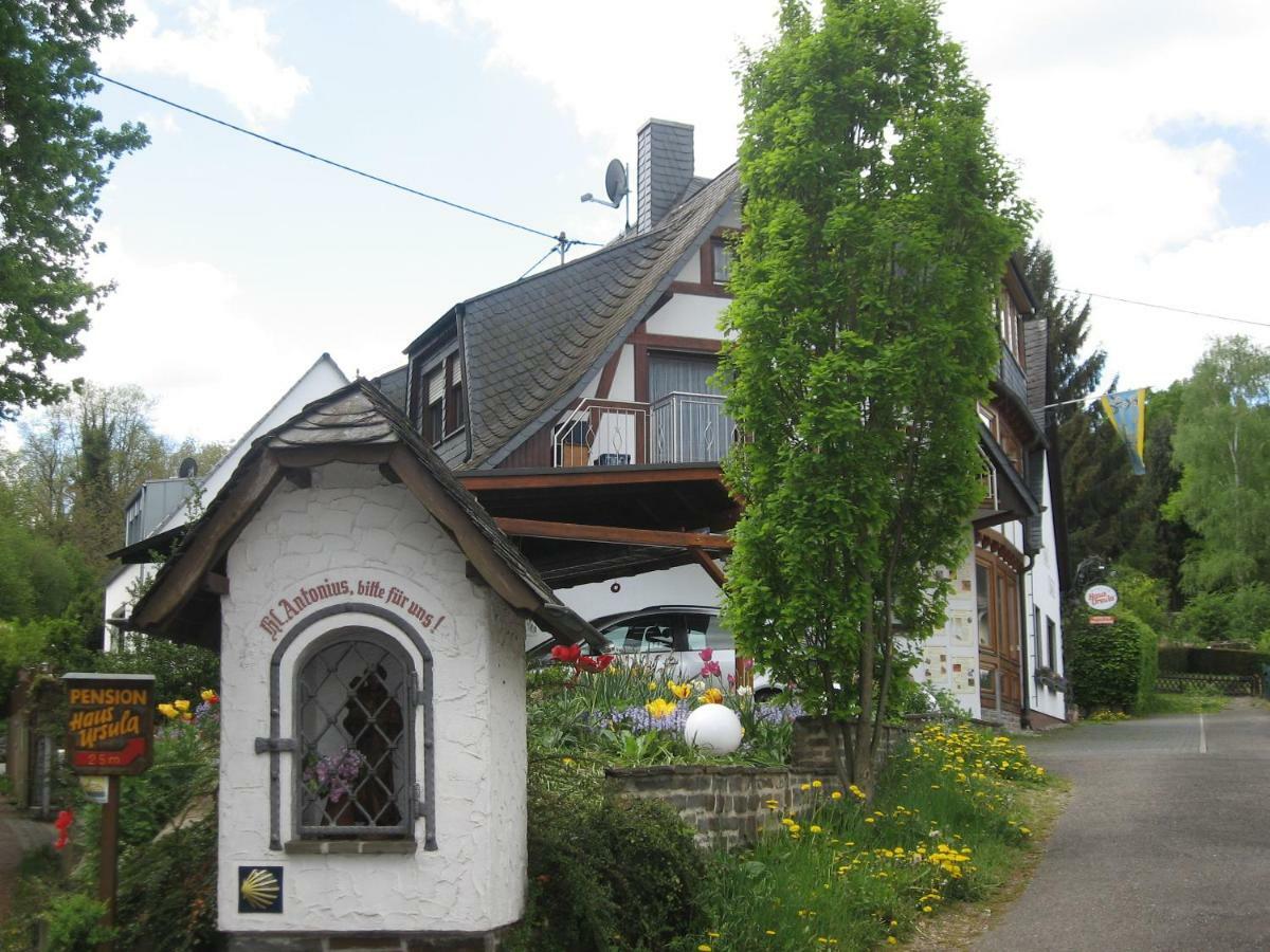 Pension Haus Ursula Кобленц Экстерьер фото