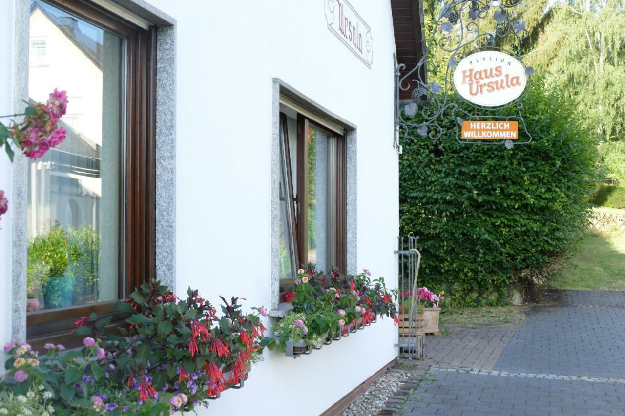 Pension Haus Ursula Кобленц Экстерьер фото